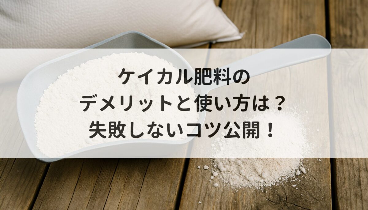 ケイカル肥料のデメリットと使い方は？失敗しないコツ公開！