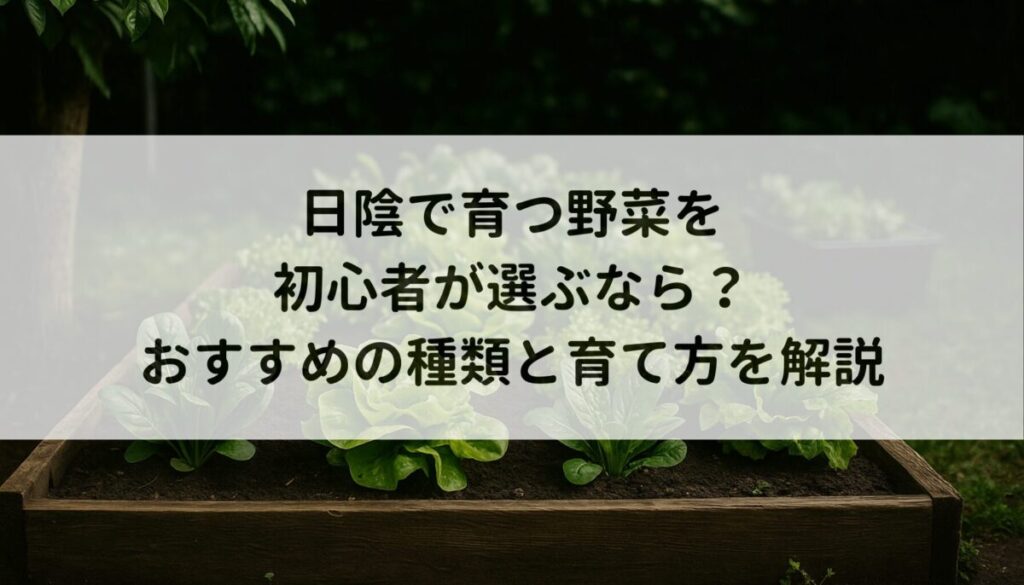 日陰で育つ野菜を初心者が選ぶなら？おすすめの種類と育て方を解説