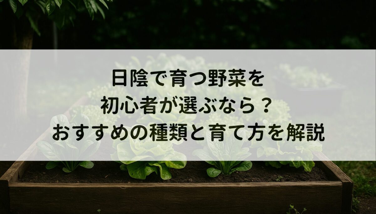 日陰で育つ野菜を初心者が選ぶなら？おすすめの種類と育て方を解説