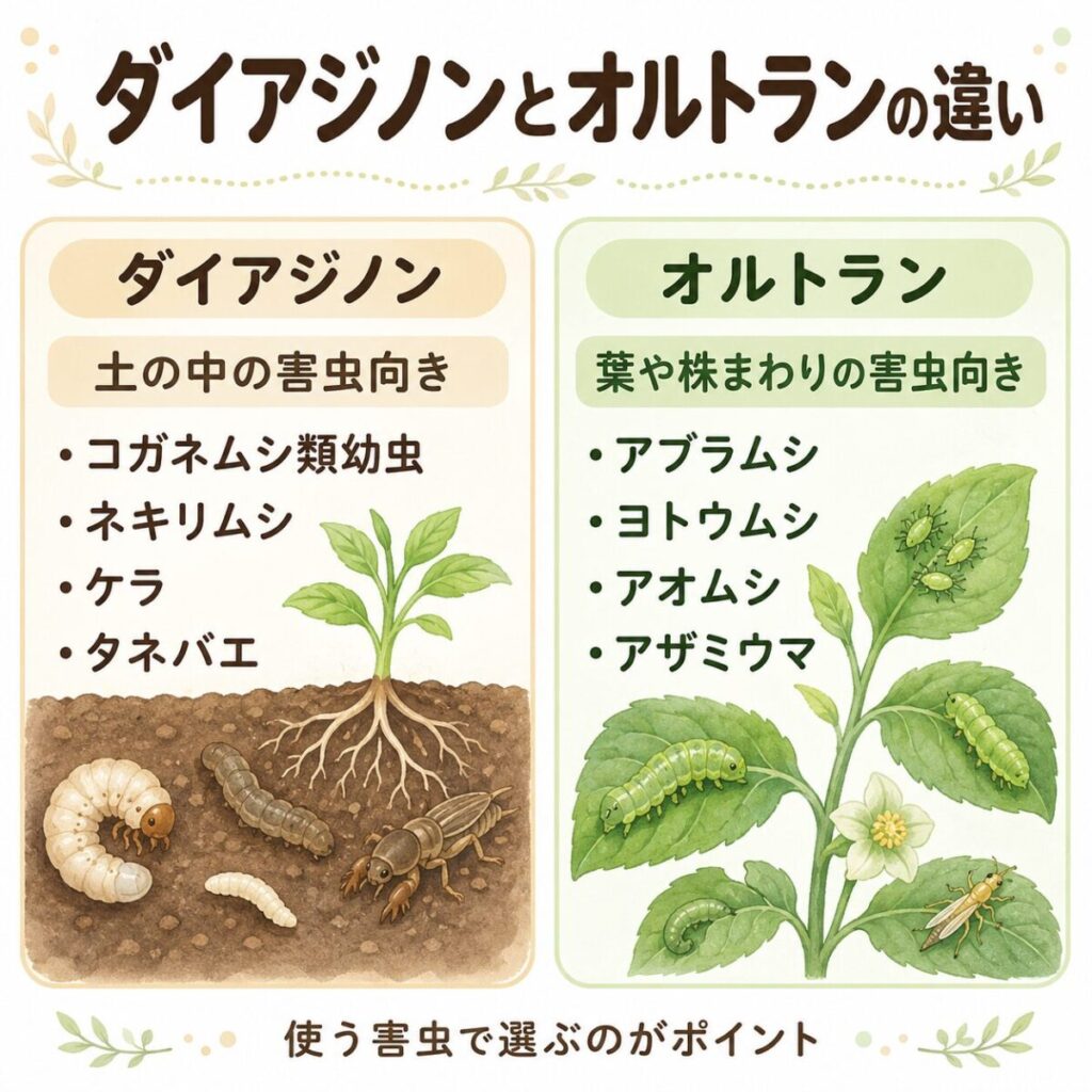 ダイアジノンとオルトランの違いを比較した図